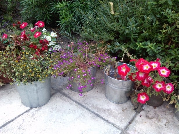 Colorful potted flowers on a garden patio.