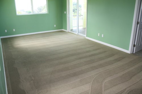 Carpeted room with clean vacuum tracks after using Neato XV-25.