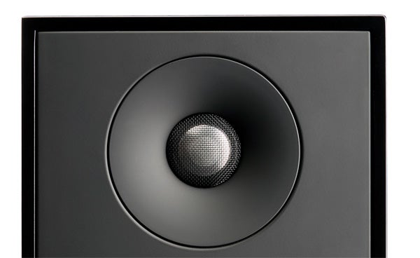 Close-up of Paradigm Shift A2 speaker driver.