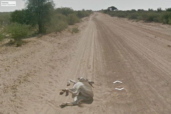 Google Street View Donkey