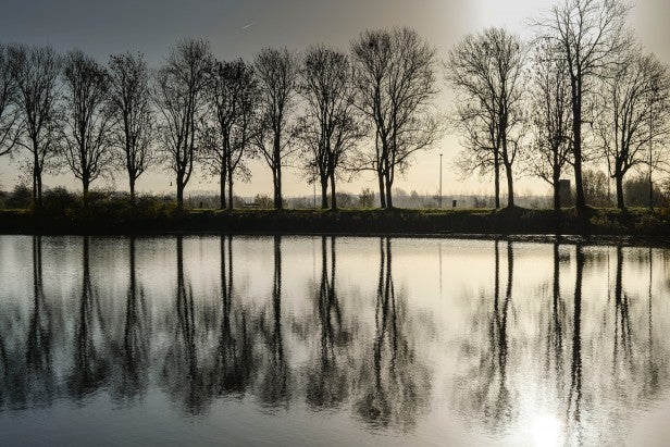 High-resolution image sample showing trees reflected in water.
