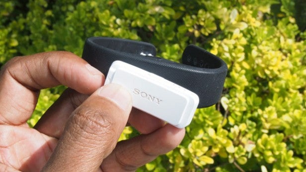 Hand holding Sony SmartBand against a green foliage background.
