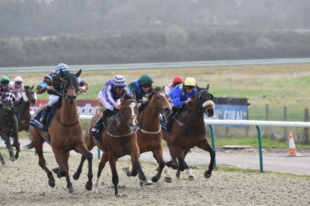 Horse race in action showing clear, sharp image quality