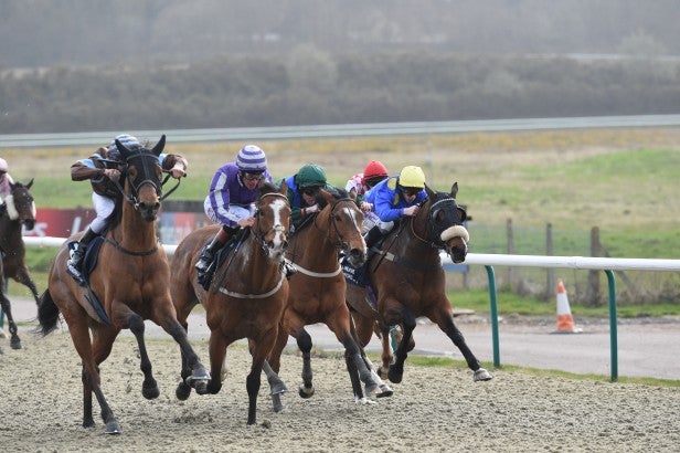 Jockeys racing horses on a track