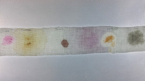 Stain removal test strip with various labeled stains.