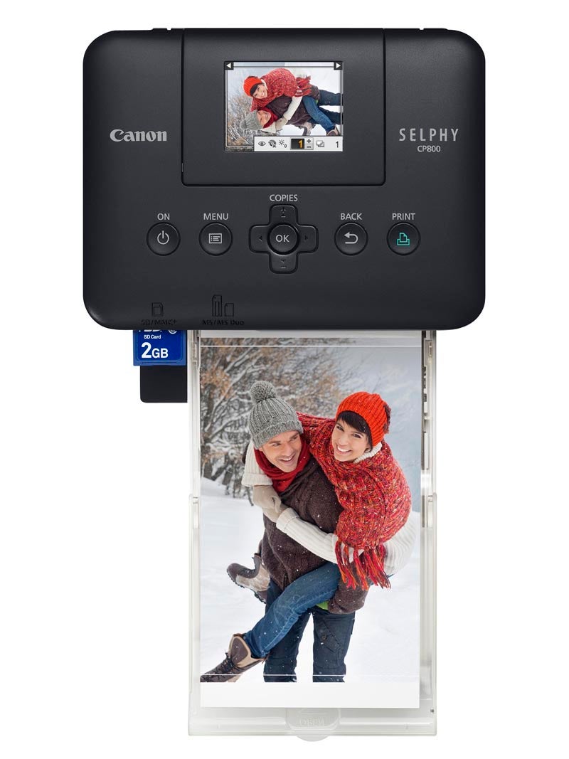 canon selphy cp800 software download