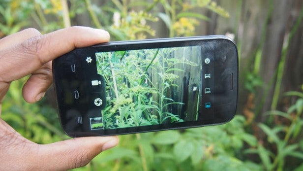Hand holding smartphone with camera interface in a garden.