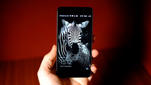 Hand holding Honor 6 smartphone displaying zebra wallpaper.