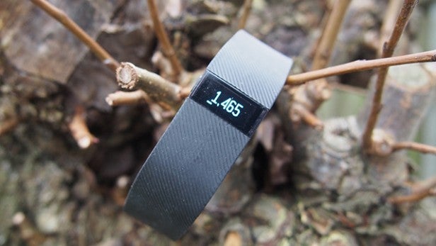 Fitbit Charge on twig showing step count display.
