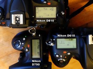Nikon D810 19