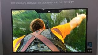 Samsung 110-inch TV displaying high-resolution adventure content