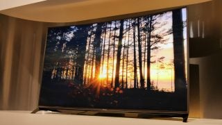Panasonic TX-65CR850 displaying sunset through forest image.
