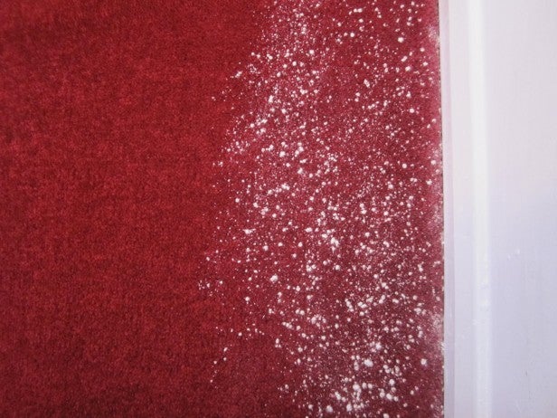 Baking soda sprinkled on red carpet for cleaning test.