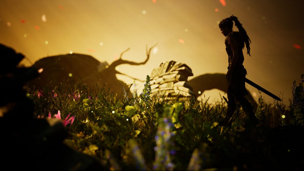 Senua standing in a mystical field at sunset.