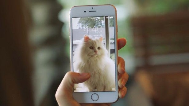 Live Photos explained: How the iPhone 6S and 6S Plus camera feature works