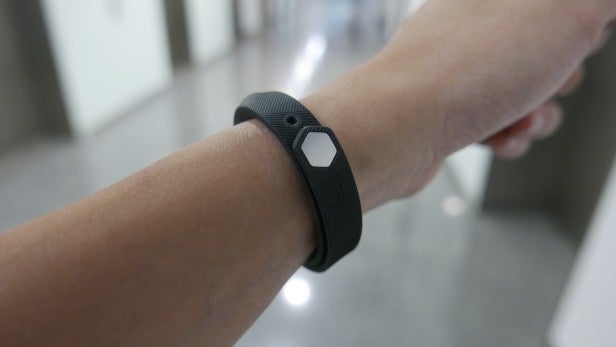 Fitbit Flex Review Trusted