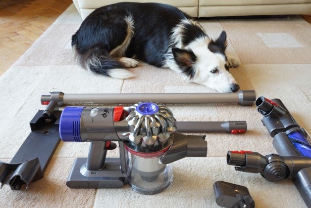Dyson Animal Review | Reviews