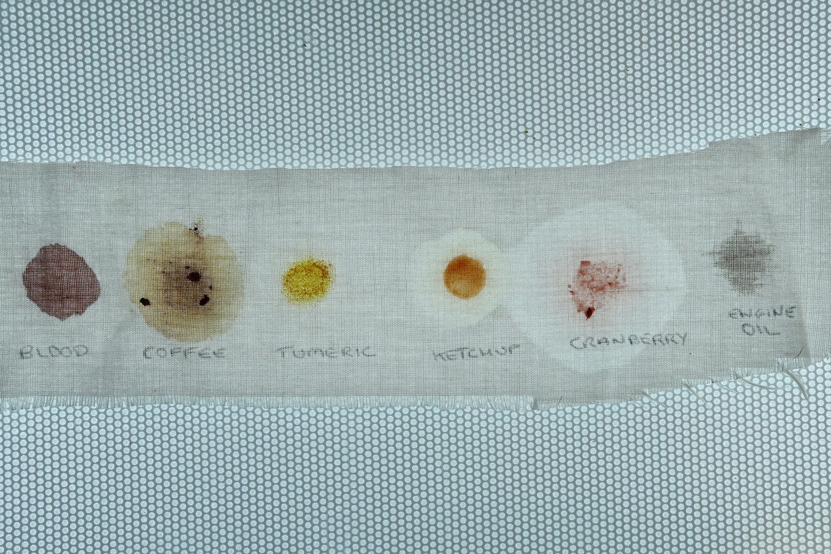 Stain removal test strip with various common stains.