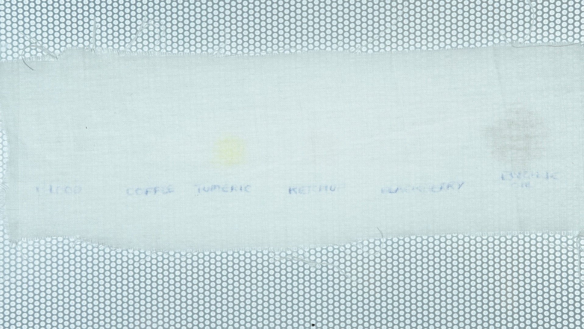 Stain removal test fabric with labeled stains after washing.