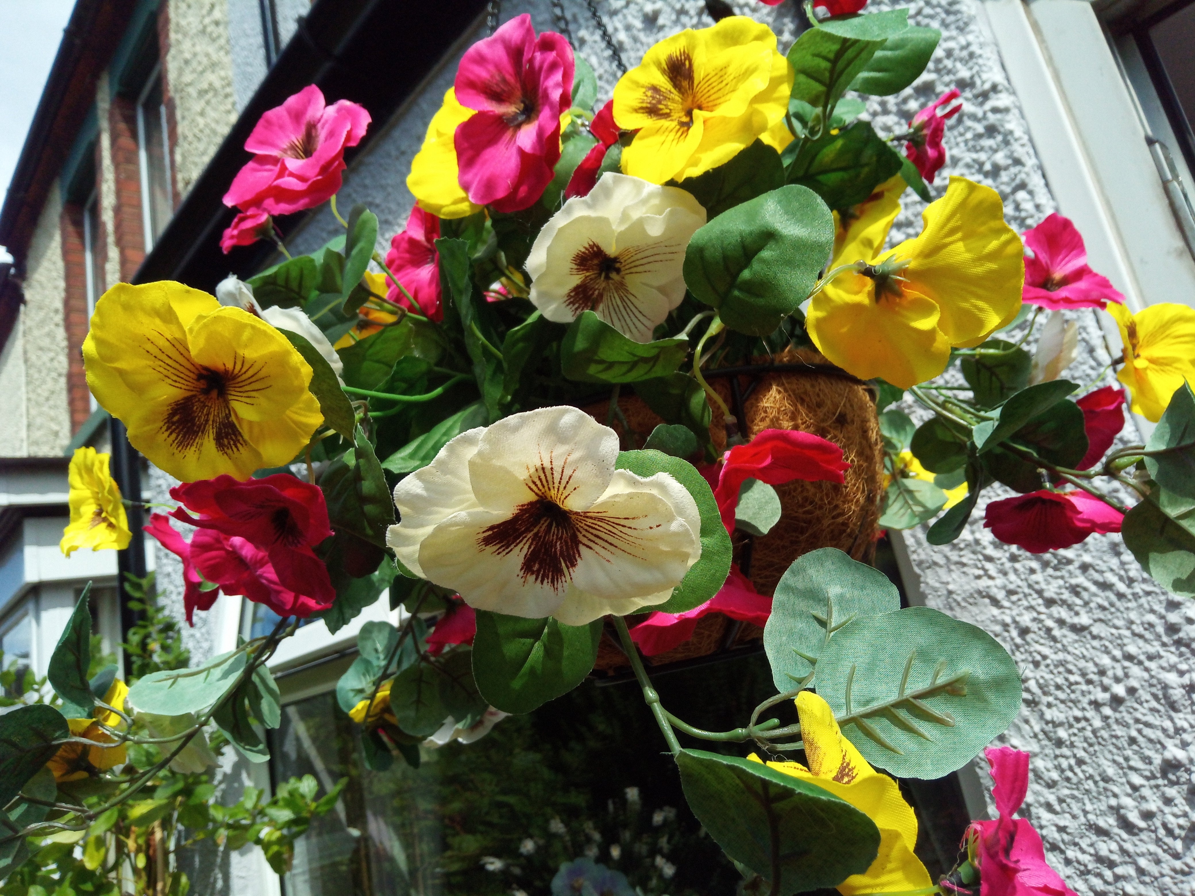 Colorful flowers in a hanging basket outside a house.