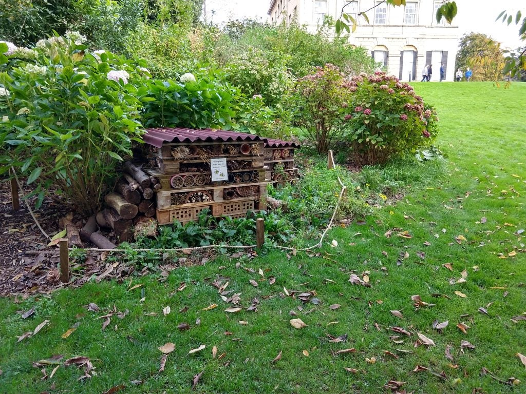 Insect hotel in a green garden with plants and leaves.