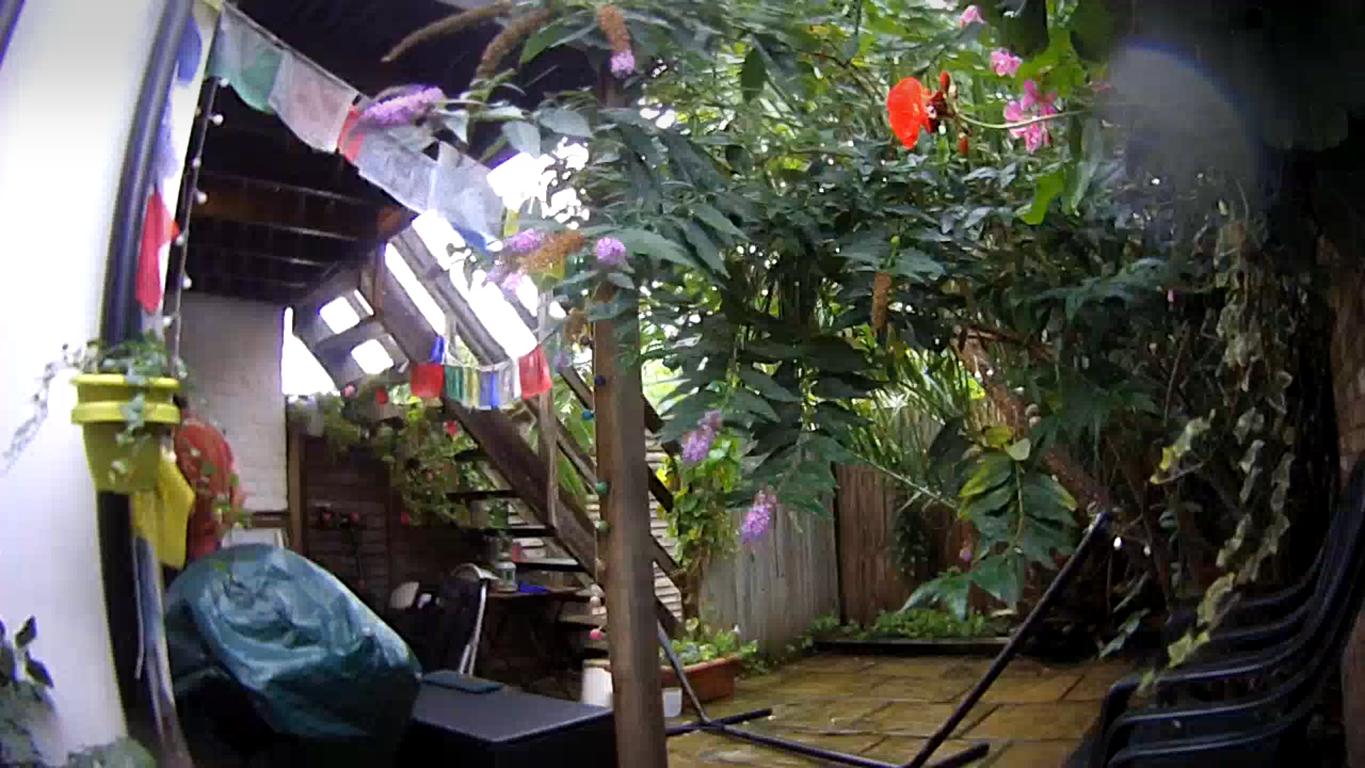 Backyard view from Canary Flex security camera.