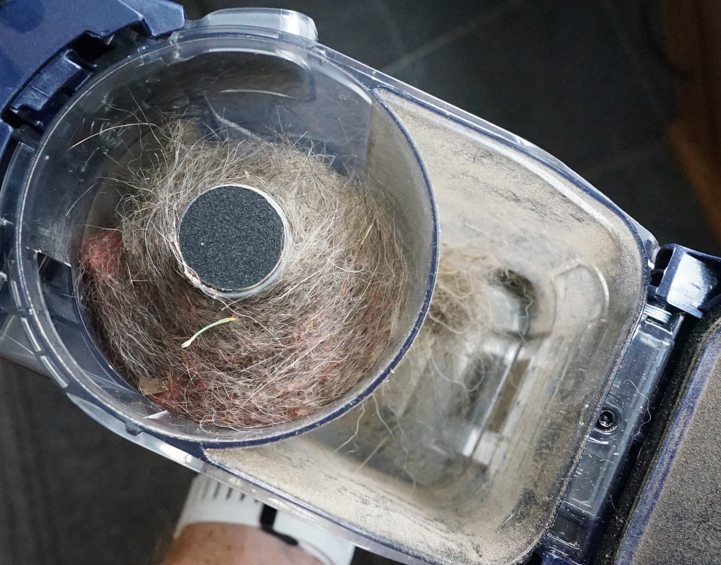 Dust compartment of Shark DuoClean Vacuum full of pet hair.