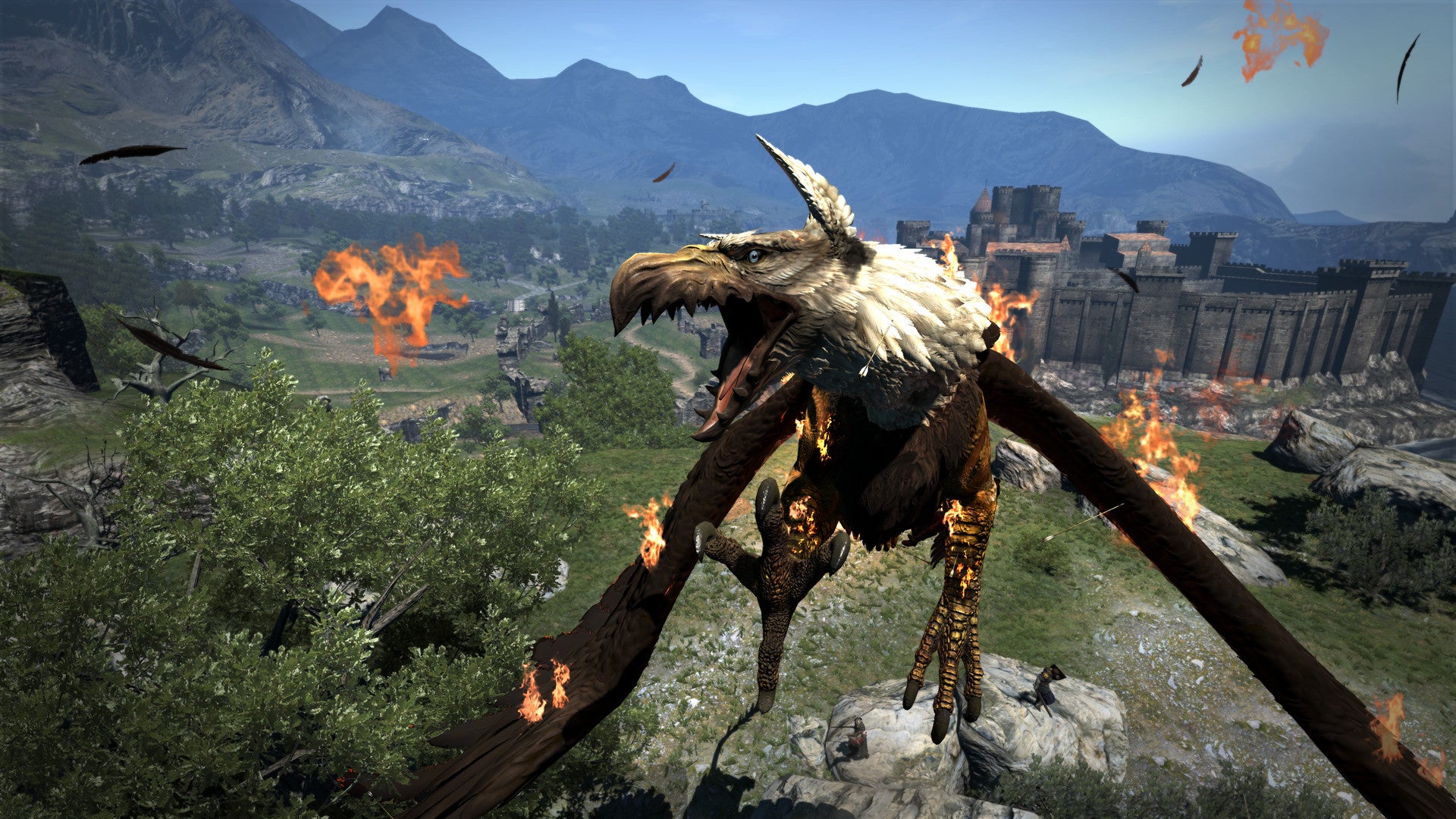Screenshot of Dragon's Dogma gameplay showing a flying creature.