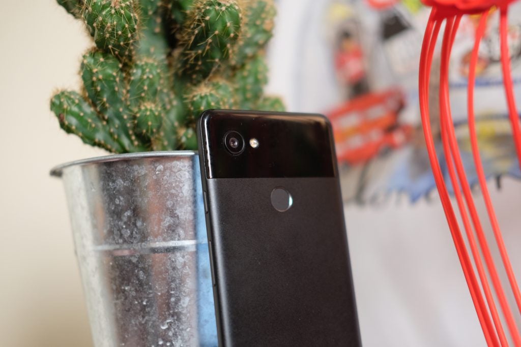 Google Pixel 2 XL camera close-up with cactus background.