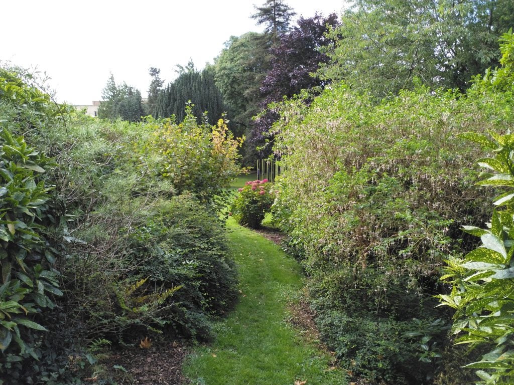 Photo sample from camera in garden setting.