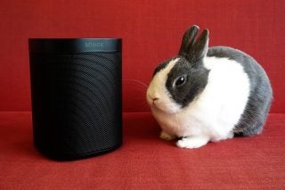 Sonos One with Puddles the rabbit