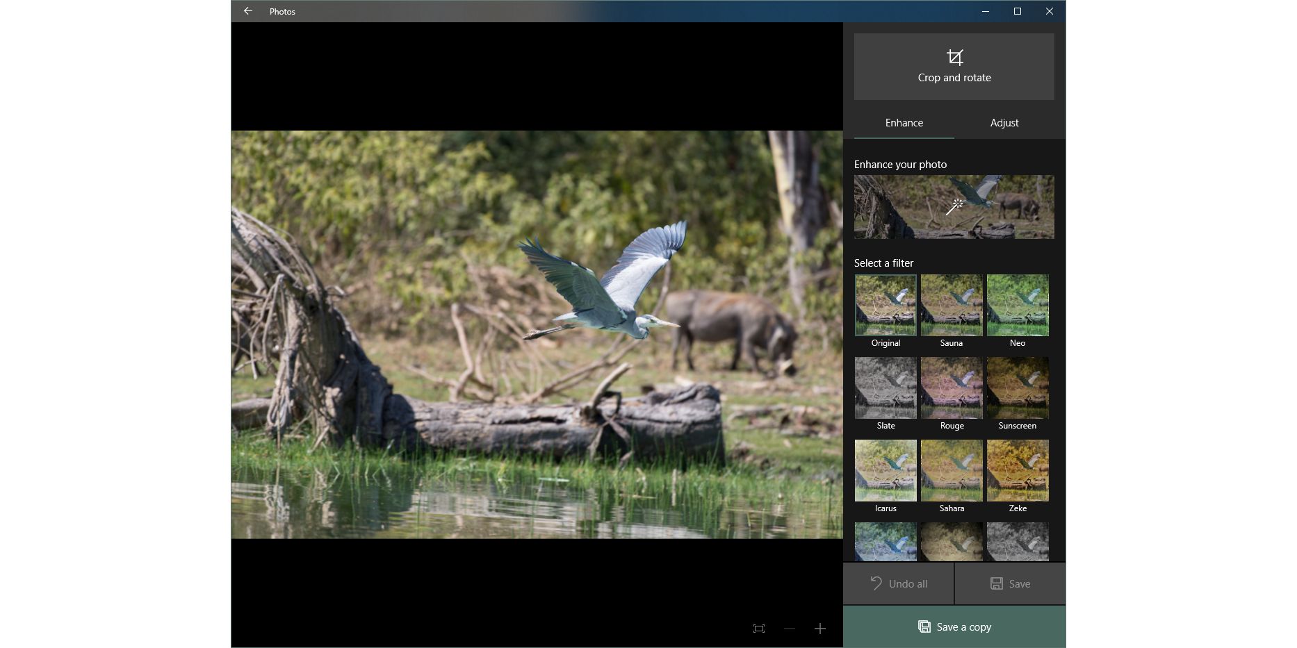 Windows Photos app with filter options displayed