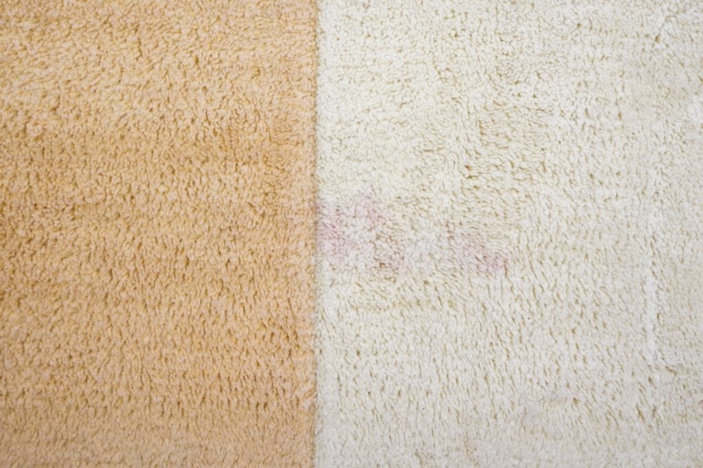 Before and after carpet cleaning comparison.