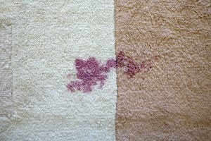 Bissell StainPro 10Carpet with a wine stain before cleaning