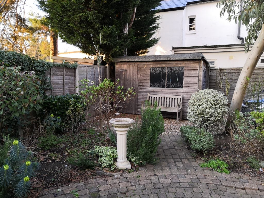 Photo sample from a camera showing a garden shed and plants.Garden shed and bench with greenery, sharp image quality.