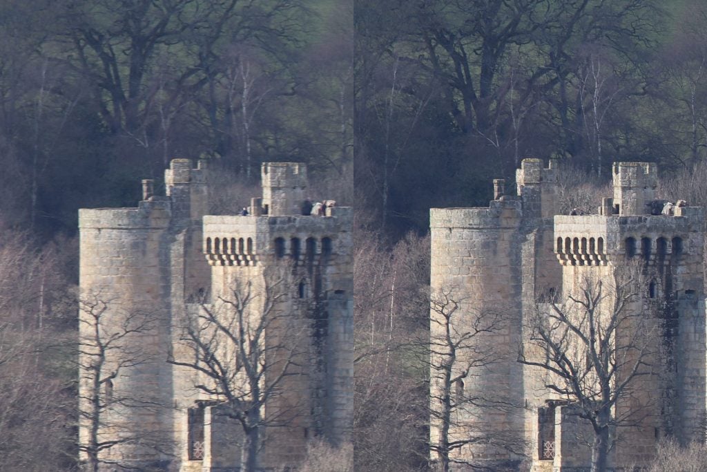 Side-by-side sharpness comparison of Tamron 100-400mm lens.Comparison of Tamron lens sharpness at 100mm and 400mm.