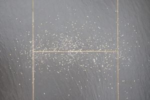 Oat flakes scattered on a dark tiled floor.
