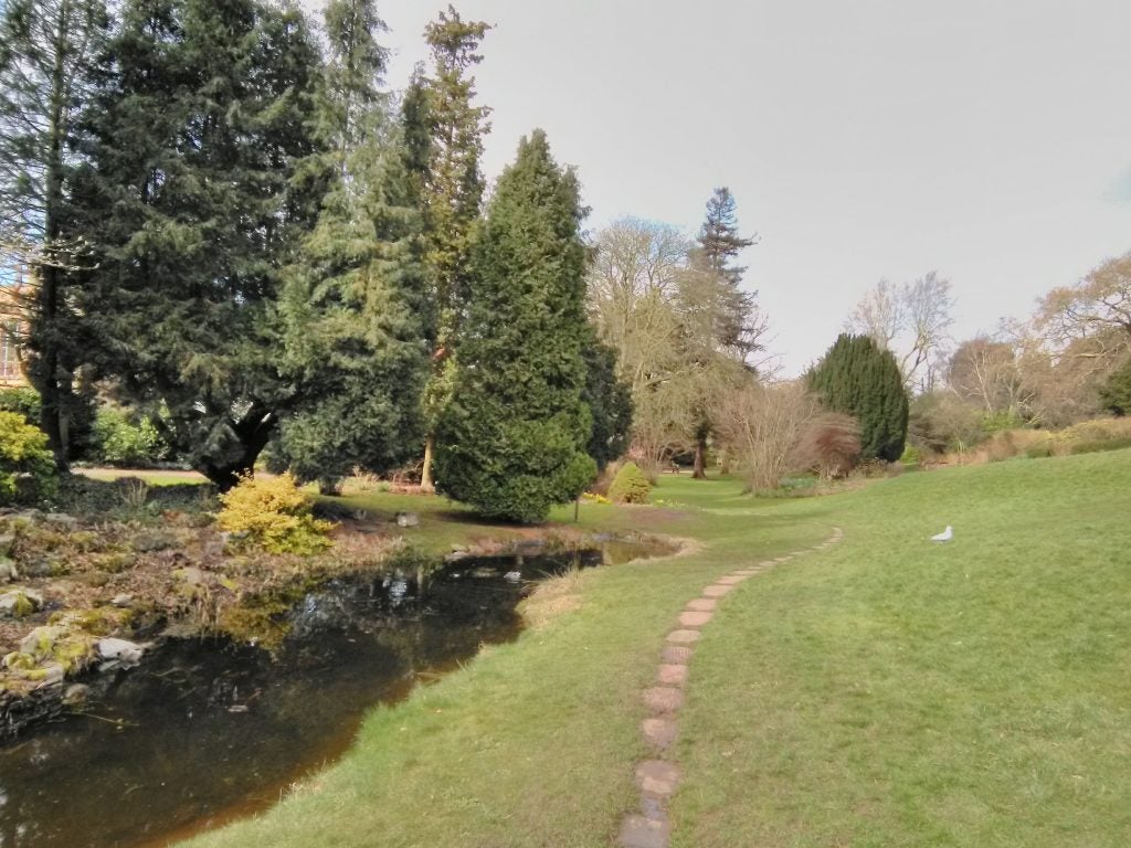 Photo taken by Nokia 2 showing a garden with a pond and pathway.