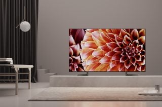 Sony KD-65XF9005 displaying vibrant floral image in modern room.
