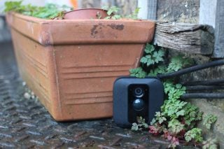 Blink XT outdoor security camera mounted beside a flowerpot
