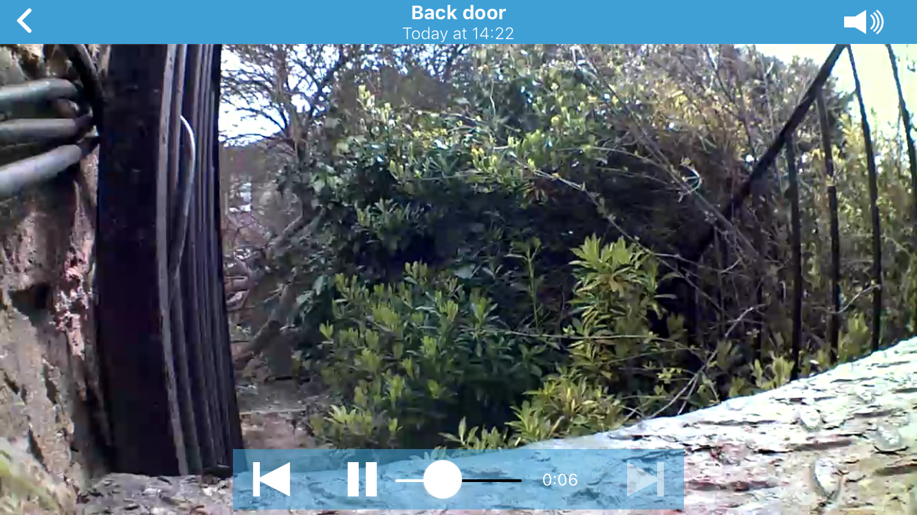 Blink XT camera view of a backyard with timestamp.