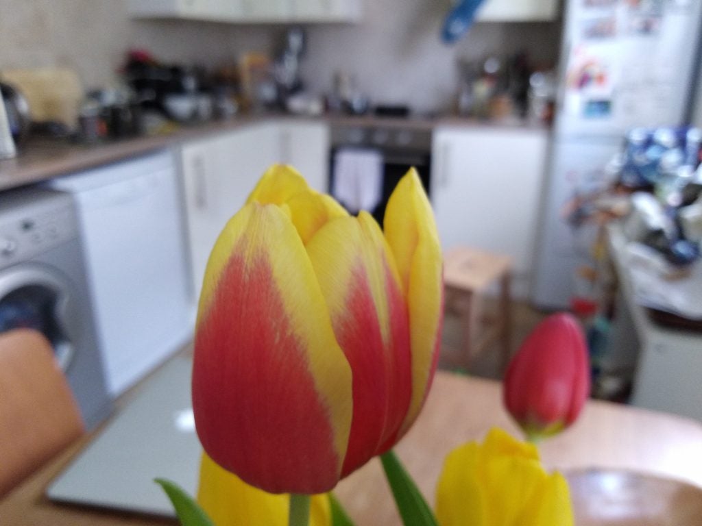 Yoshi, Kirby, and Mario figurines on a gray chairTulip in focus with a blurred kitchen background