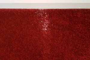 Spilled white powder on a red carpet near a wall.