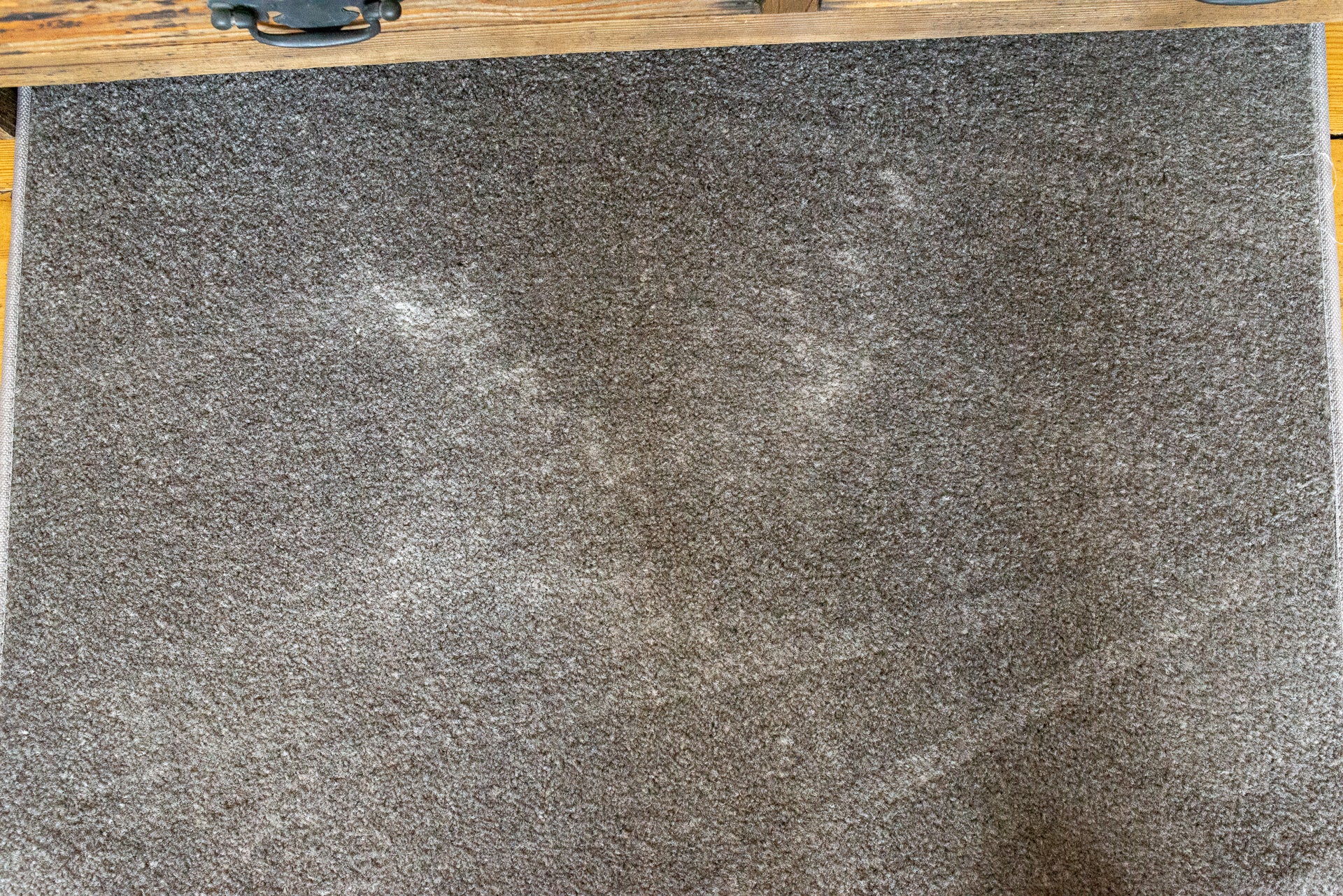Carpet with clean and dirty areas showing vacuum cleaner's effectiveness