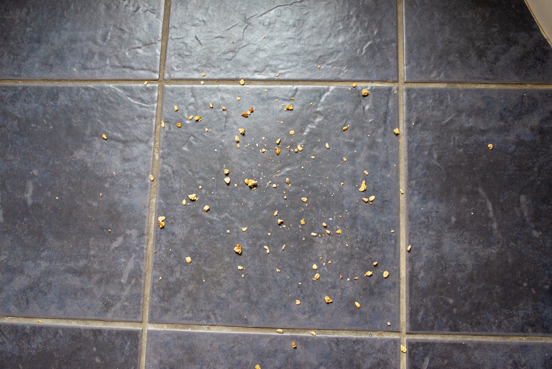 Tiled floor with scattered crumbs awaiting cleaning.