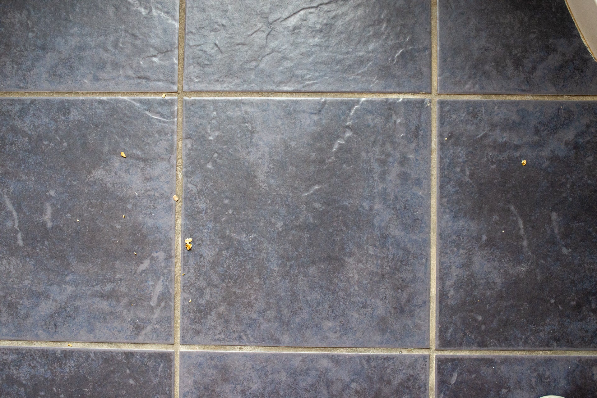 Dirty tiled floor before vacuuming with Vorwerk Kobold VK200.