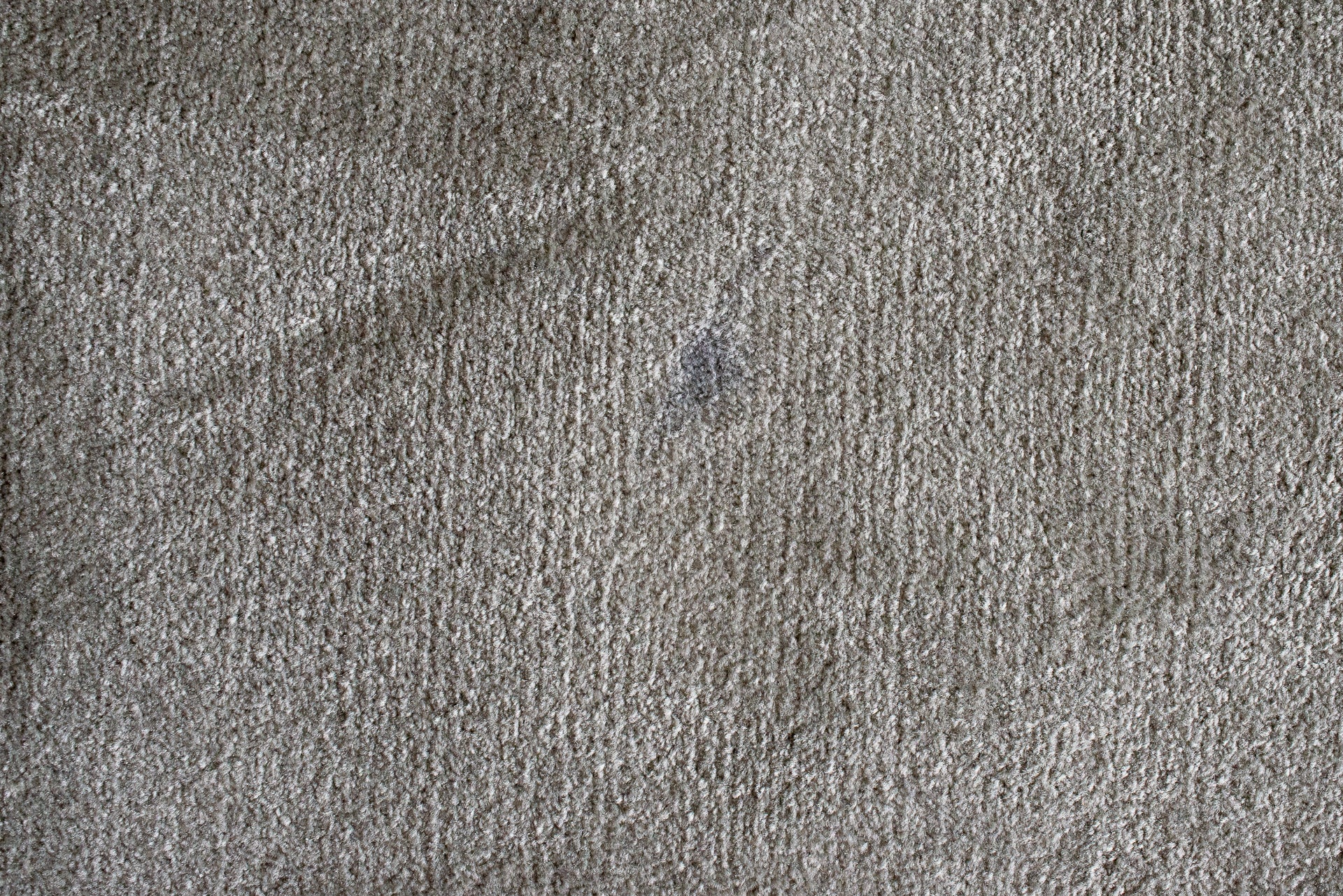 Carpet with a dirty spot, before cleaning.