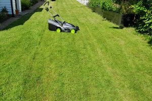 Gtech Falcon Cordless Lawnmower in a freshly mowed garden.