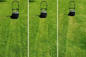 Gtech Falcon lawnmower before and after lawn cut.