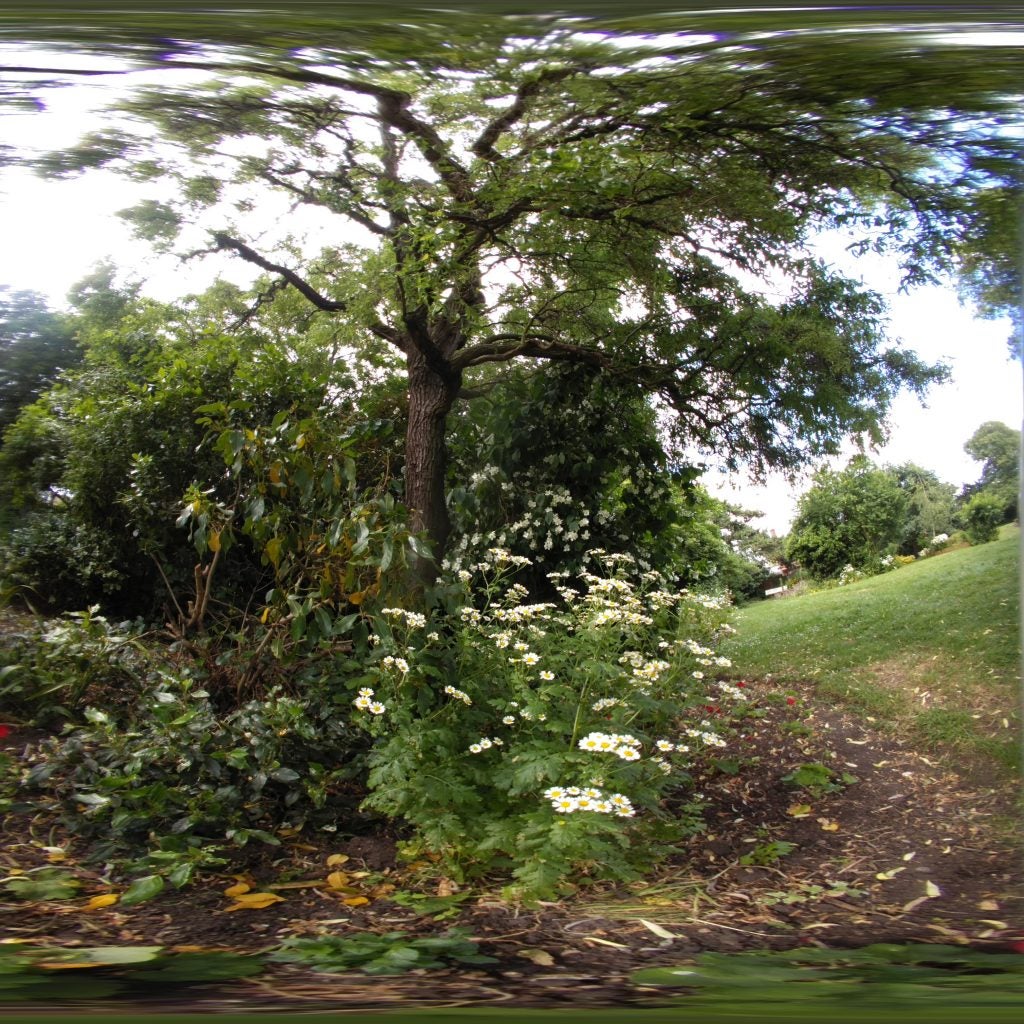 Wide-angle photo of a tree and flowers with motion blur.A distorted photo of flowers and trees, a camera effect.